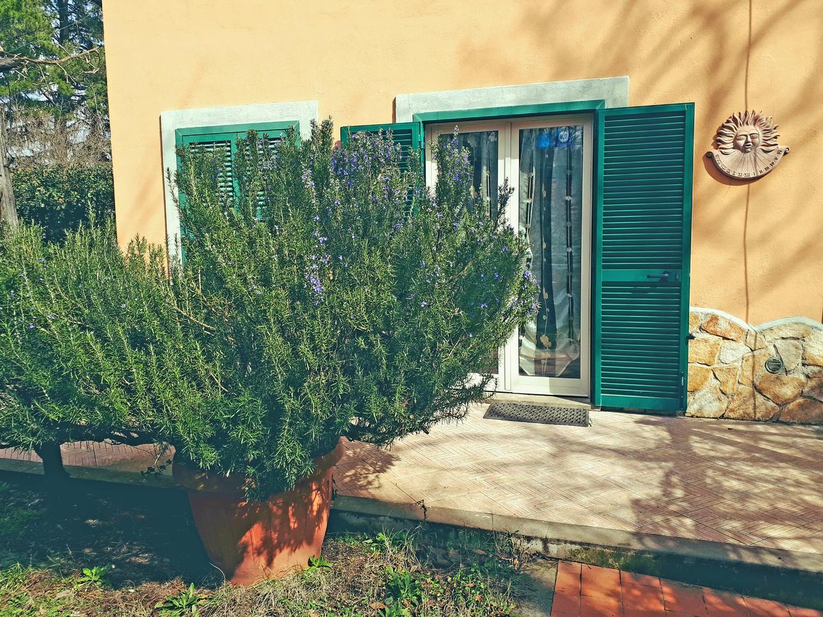 Bed And Breakfast Monticelli Capranica Екстер'єр фото