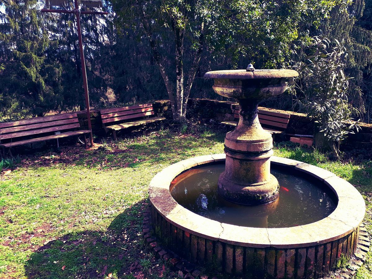 Bed And Breakfast Monticelli Capranica Екстер'єр фото