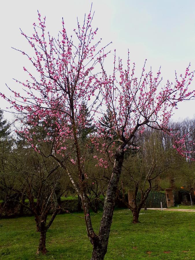 Bed And Breakfast Monticelli Capranica Екстер'єр фото